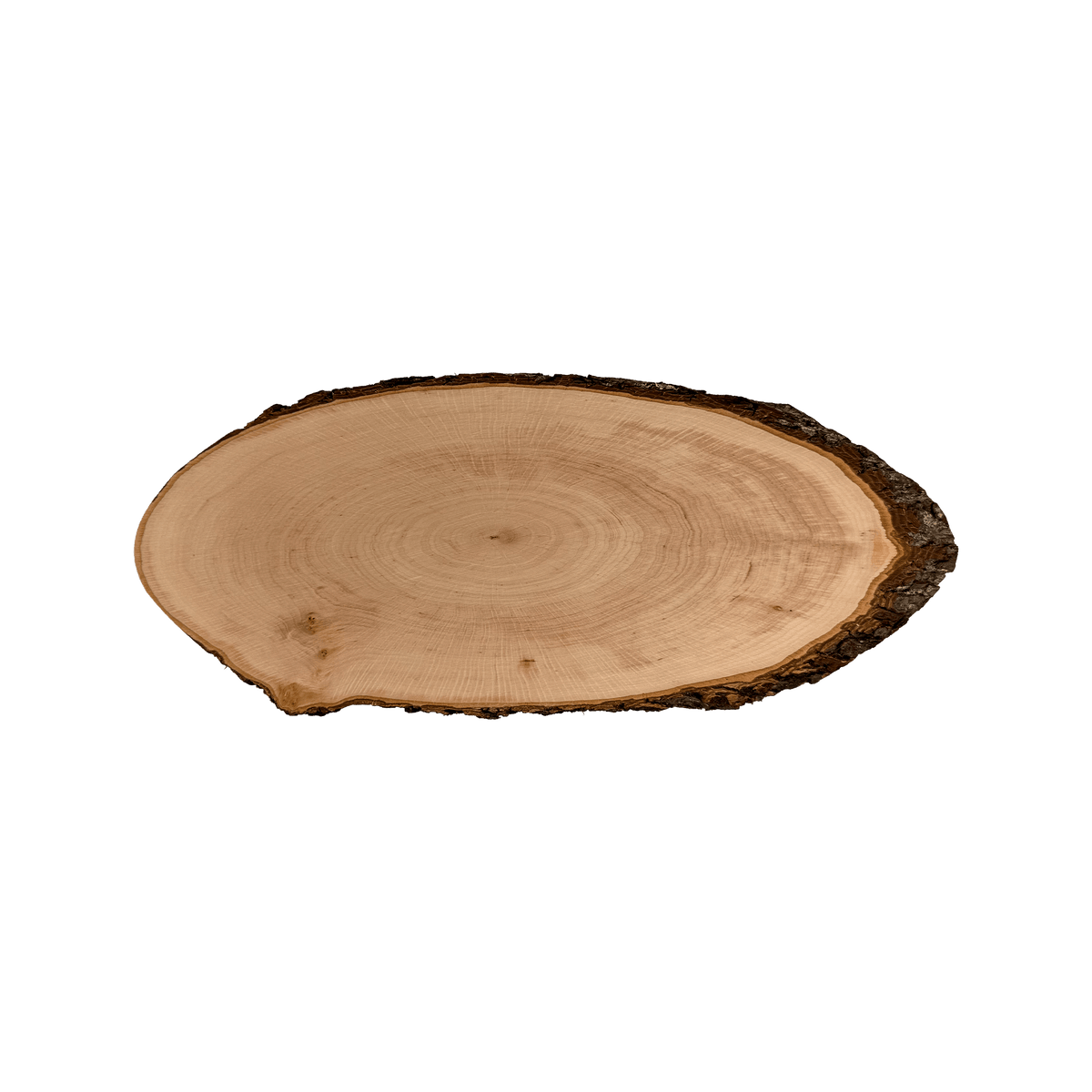 Baumscheibe oval aus Erlenholz – roh